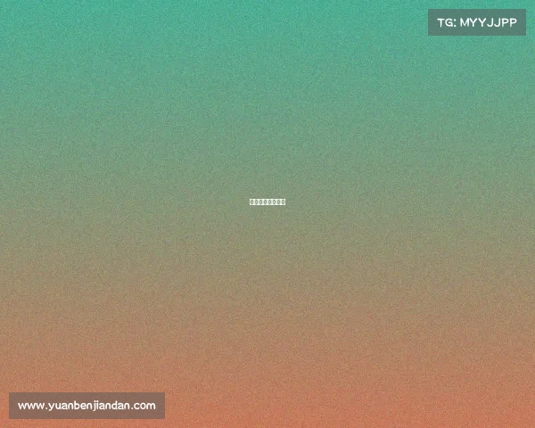 排球比赛即时比分